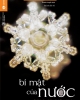 Ebook Bí mật của nước - Masaru Emoto