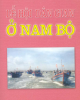 Ebook Lễ hội dân gian ở Nam Bộ - TS. Huỳnh Quốc Thắng