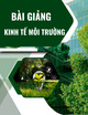 Bài giảng Kinh tế môi trường - Chương 3: Các vấn đề kinh tế về ô nhiễm môi trường